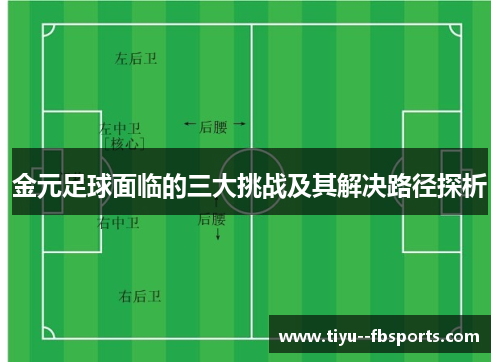 金元足球面临的三大挑战及其解决路径探析