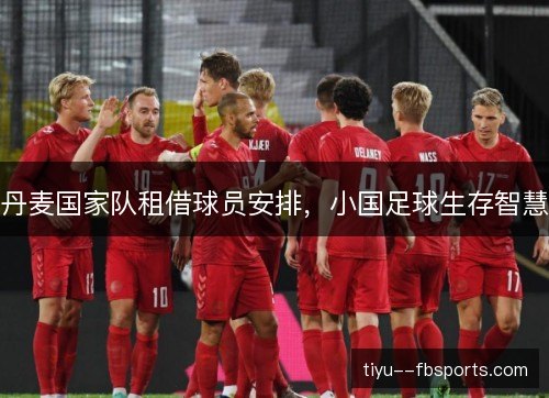 丹麦国家队租借球员安排，小国足球生存智慧
